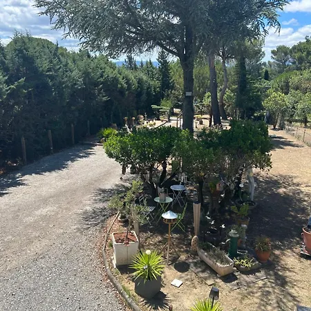 Apartman Appart-one Terrasse Jacuzzi Parking Carcassone